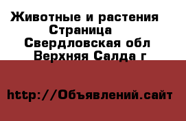  Животные и растения - Страница 2 . Свердловская обл.,Верхняя Салда г.